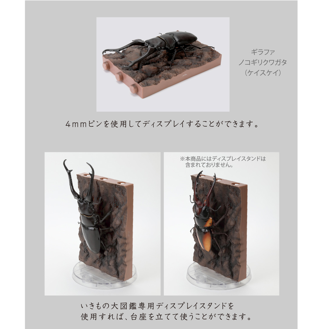 4mmピンを使用してディスプレイすることができます。いきもの大図鑑専用ディスプレイスタンドを使用すれば、台座を立てて使うことができます。