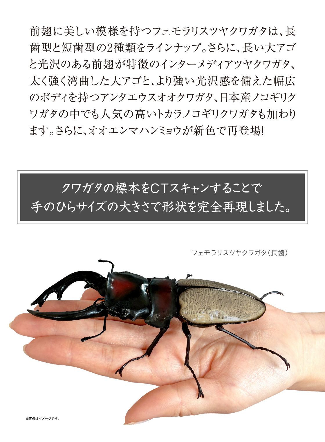 クワガタの標本をCTスキャンすることで手のひらサイズの大きさで形状を完全再現しました。