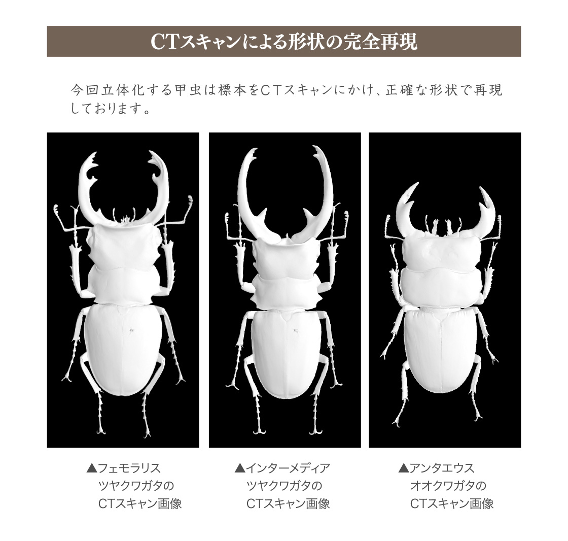CTスキャンによる形状の完全再現