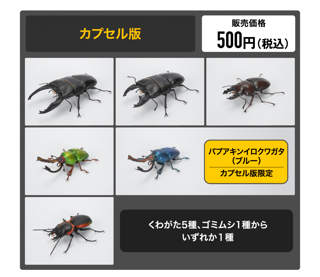 カプセル版 販売価格500円