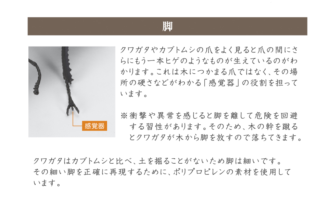 脚