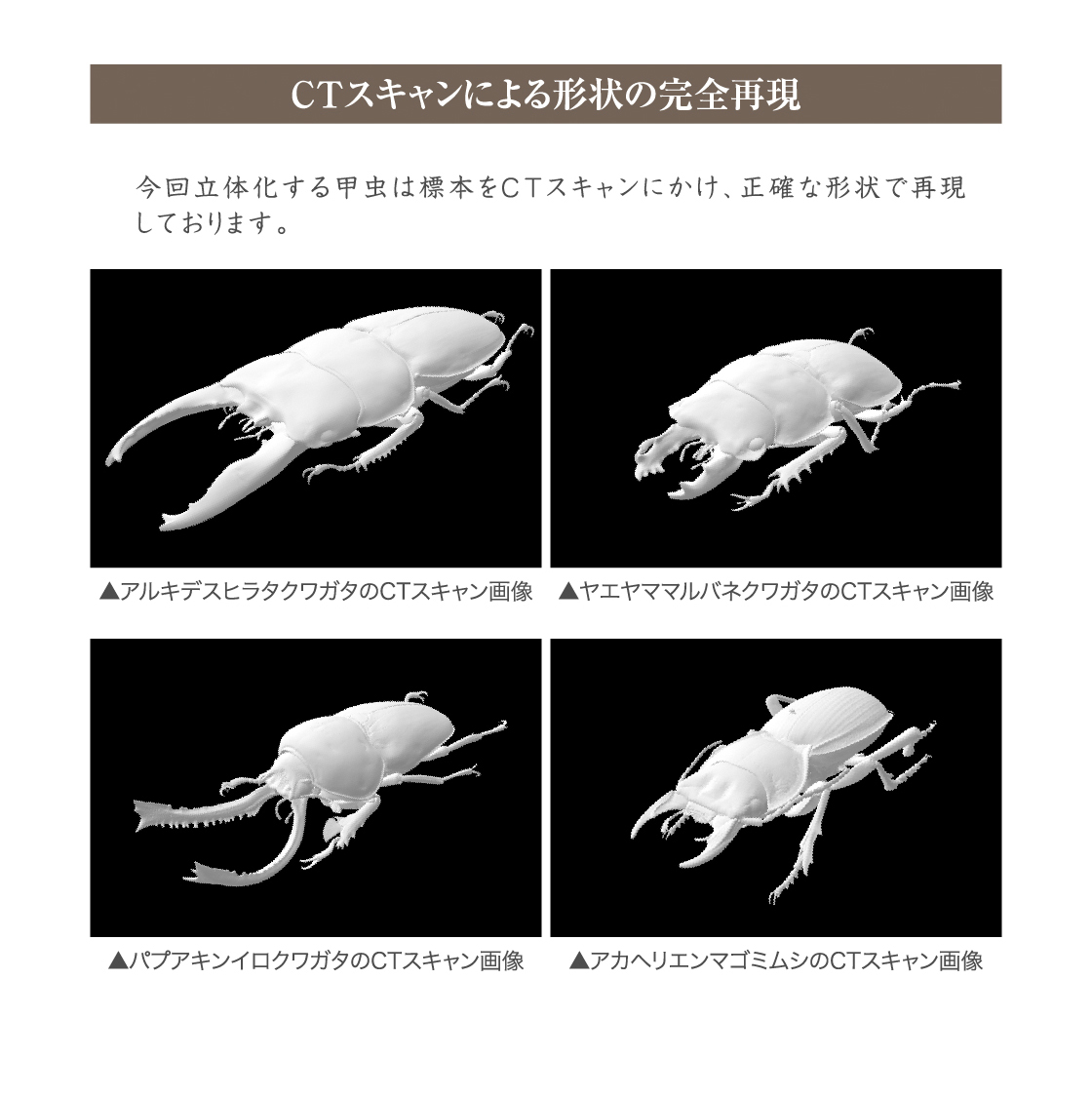 CTスキャンによる形状の完全再現