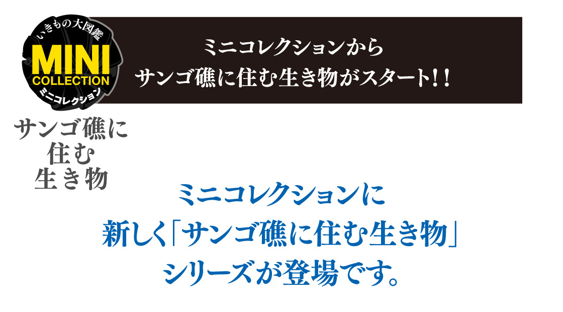 ミニコレクションから新しく「サンゴ礁に住む生き物」シリーズが登場です。