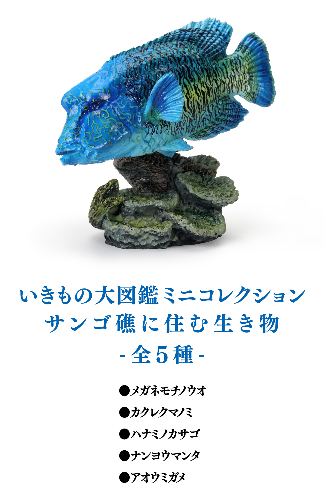 いきもの大図鑑ミニコレクション サンゴ礁に住む生き物 -全5種- ●メガネモチノウオ ●カクレクマノミ ●ハナミノカサゴ ●ナンヨウマンタ ●アオウミガメ