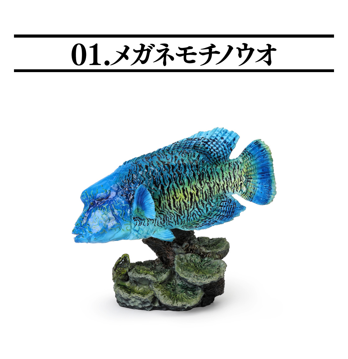 01.メガネモチノウオ