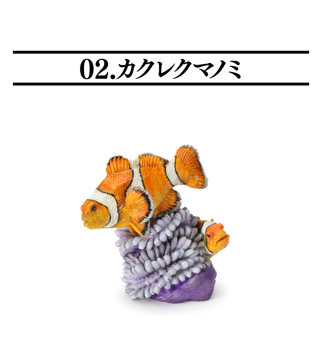 02.カクレクマノミ