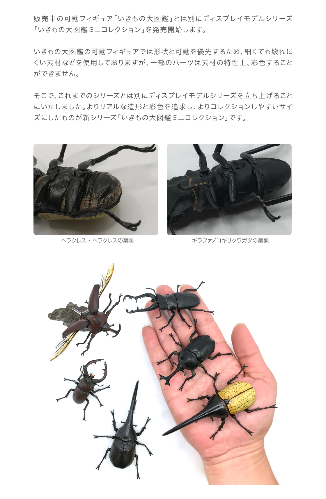 日本製お得新品 いきもの大図鑑 かぶとむし 01 第1弾 全7種フルコンプ ヤマトカブトムシ 黒 赤茶色 ヘラクレス バンダイ ガシャポン 可動フィギュア 生き物