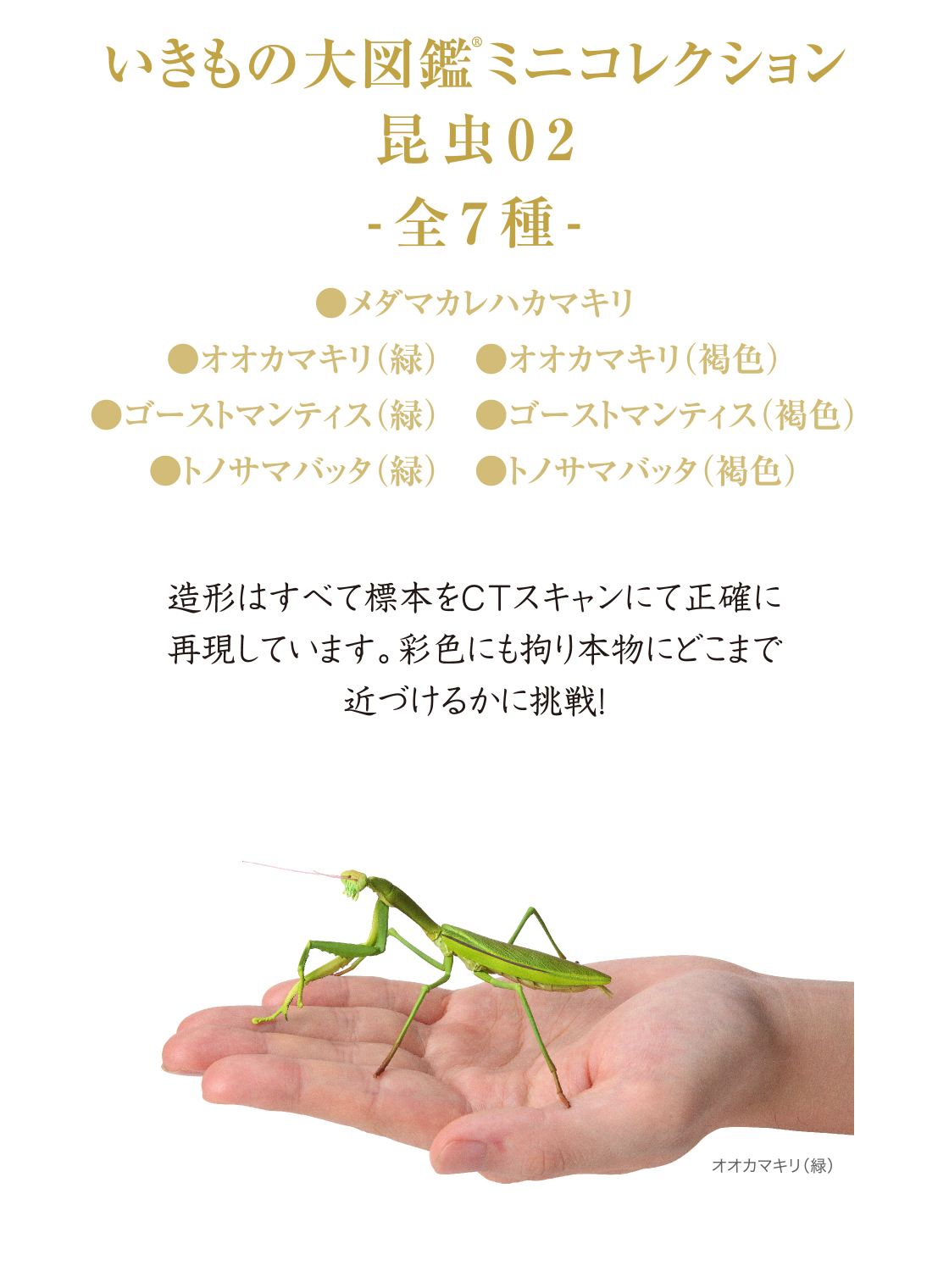 いきもの大図鑑ミニコレクション　昆虫02