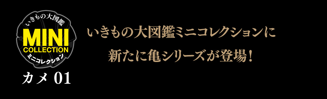 いきもの大図鑑ミニコレクションに新たに亀シリーズが登場！