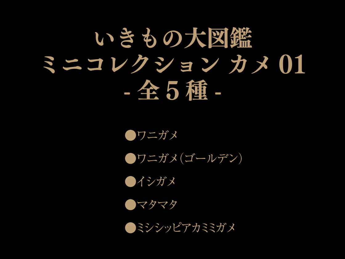 いきもの大図鑑ミニコレクション カメ01 -全5種- ●ワニガメ ●ワニガメ（ゴールデン） ●イシガメ ●マタマタ ●ミシシッピアカミミガメ