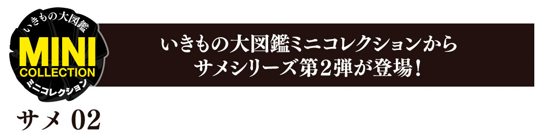 いきもの大図鑑ミニコレクションからサメシリーズ第2弾が登場！