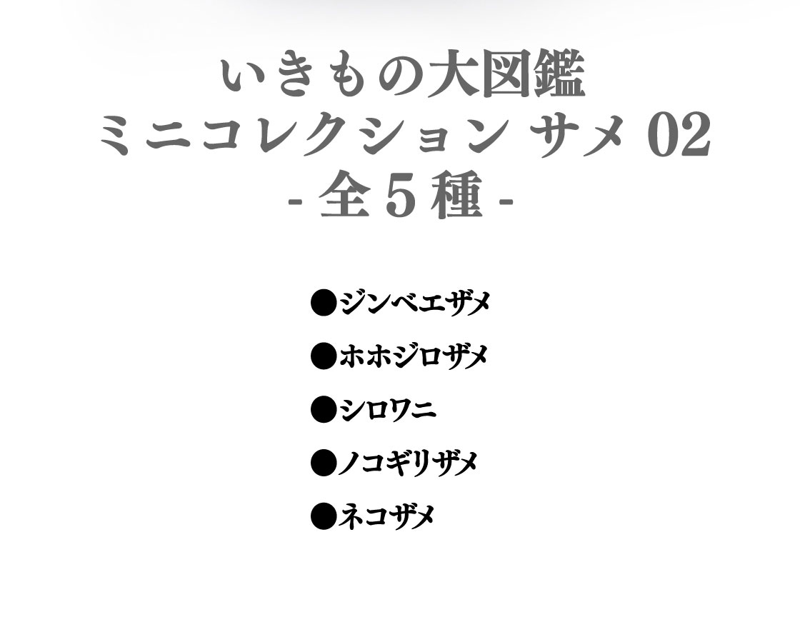 いきもの大図鑑ミニコレクション サメ02 -全5種- ●ジンベエザメ ●ホホジロザメ ●シロワニ ●ノコギリザメ ●ネコザメ