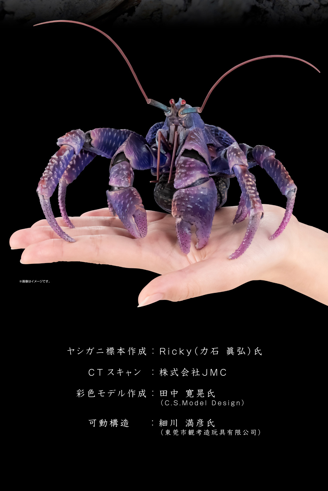 いきもの大図鑑プレミアム ヤシガニ（パープルカラー）｜いきもの大