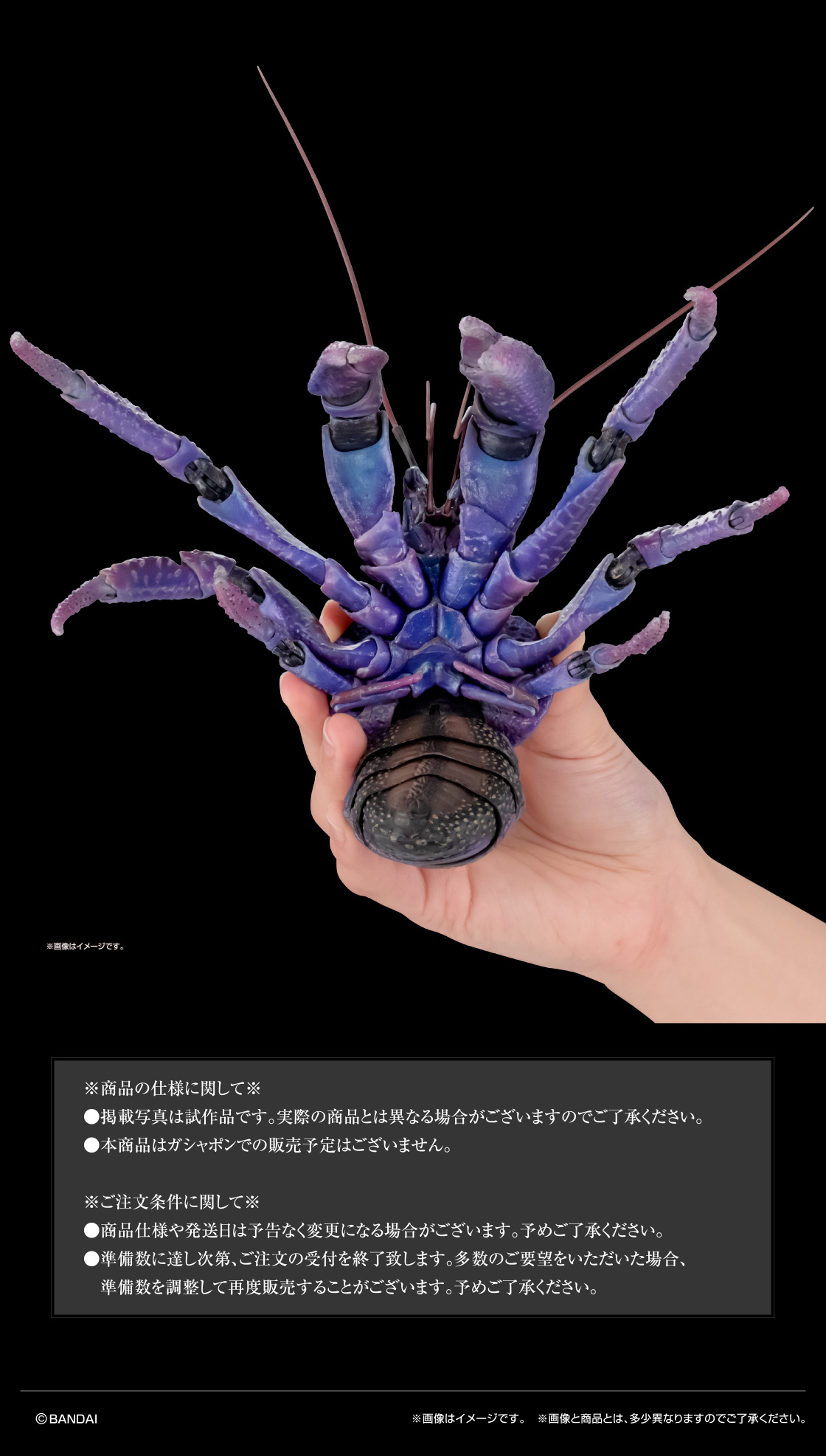 商品の仕様に関して ご注文条件に関して