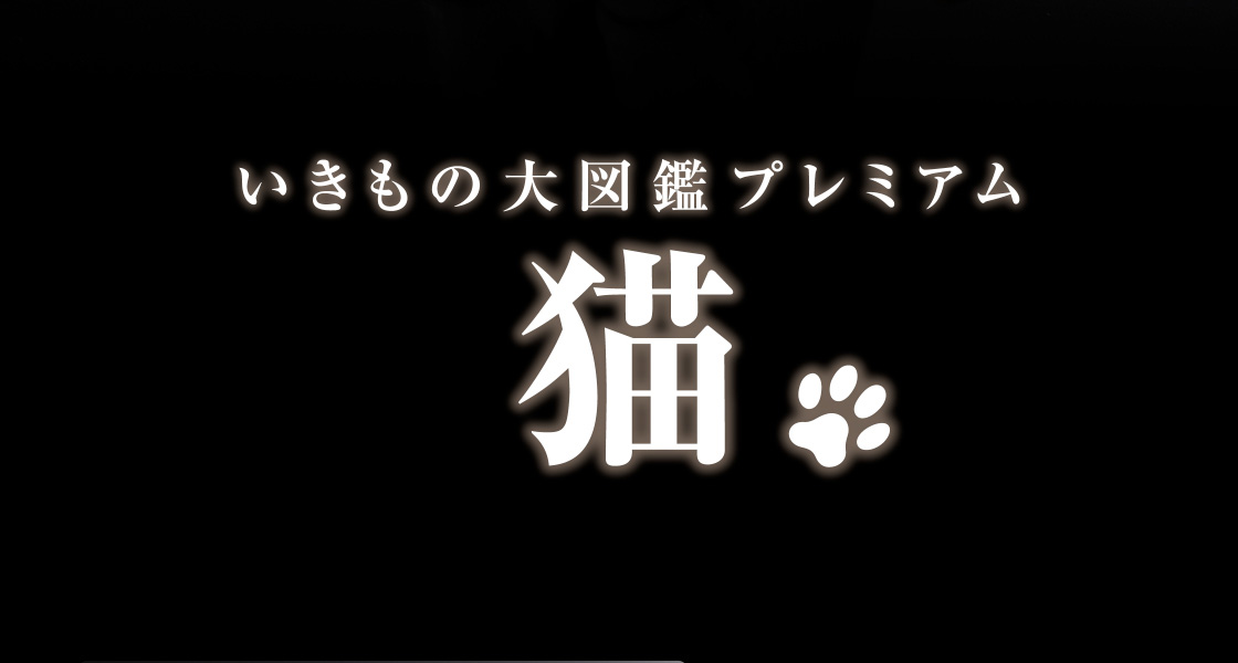 いきもの大図鑑プレミアム　猫