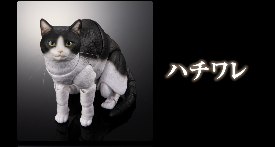 ハチワレ