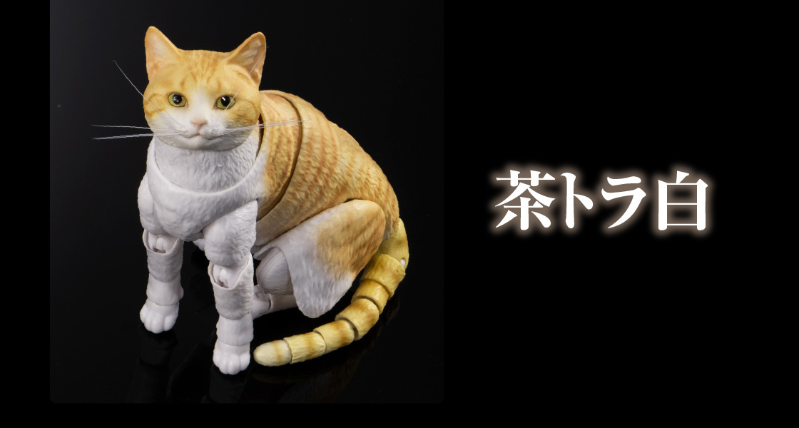 茶トラ白