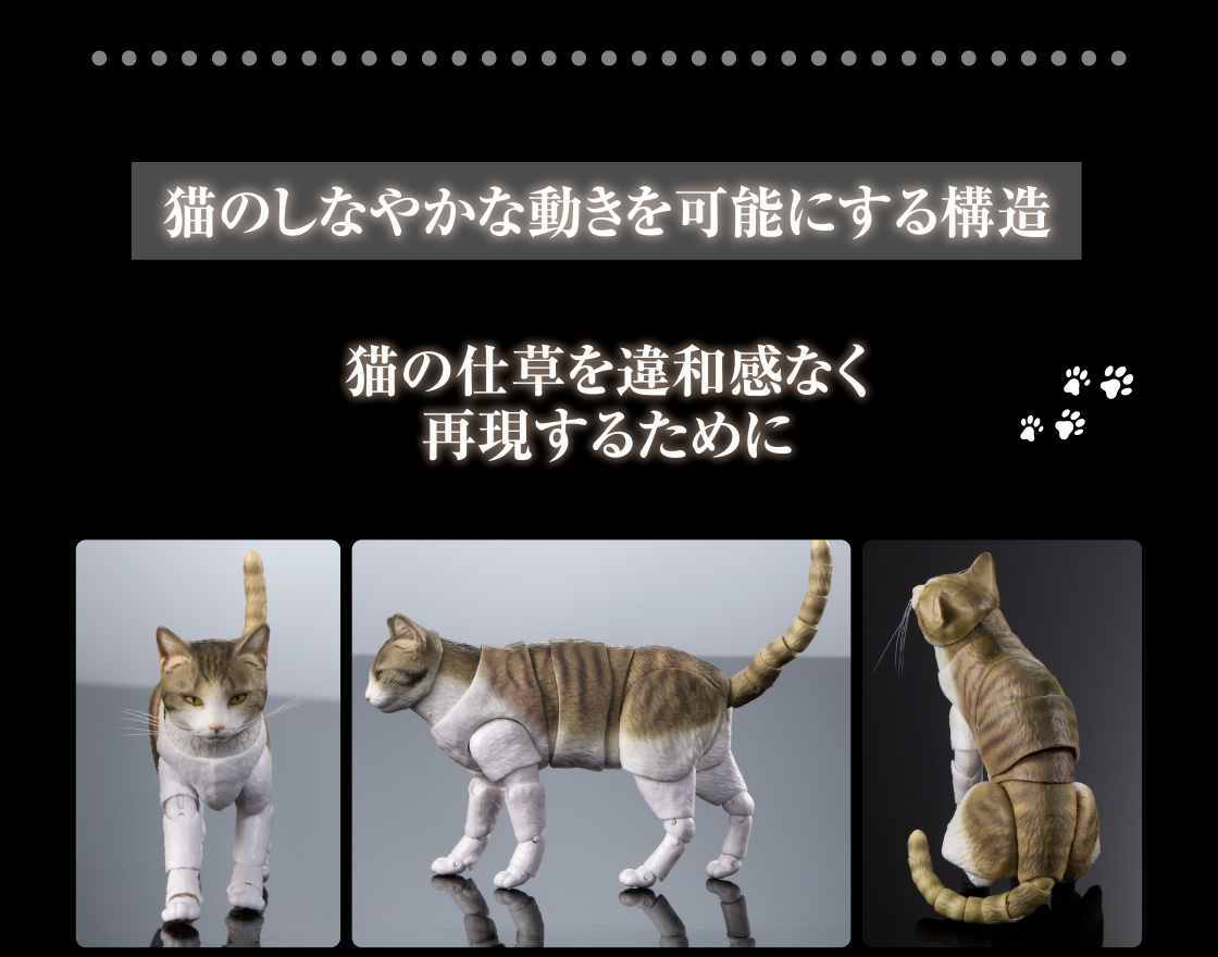 猫のしなやかな動きを可能にする構造