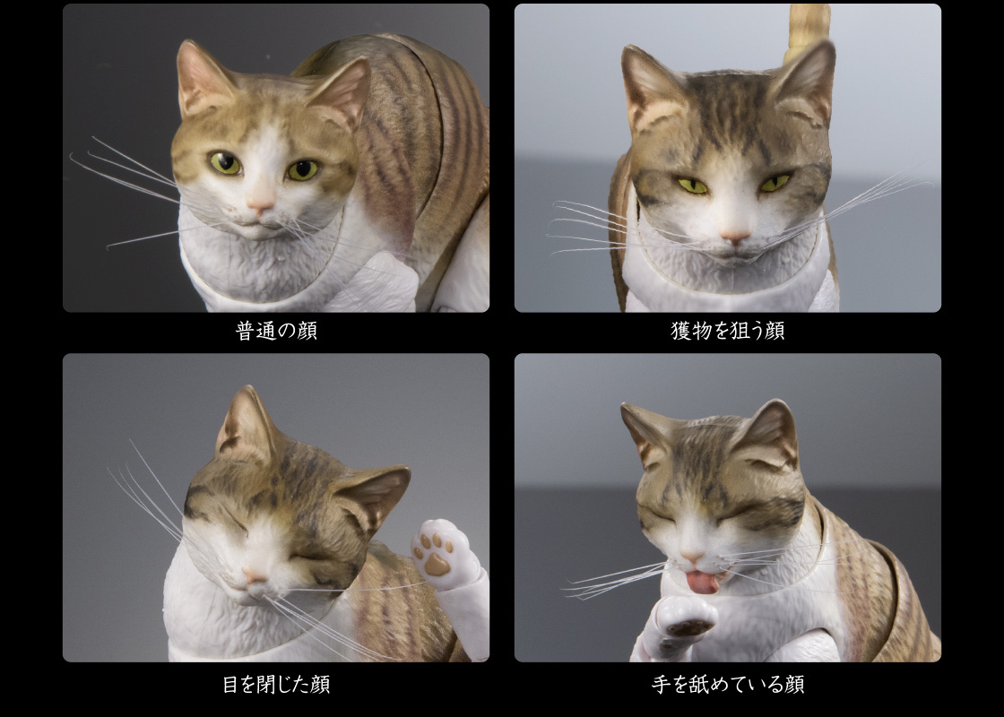 普通の顔　獲物を狙う顔　目を閉じた顔　手を舐めている顔