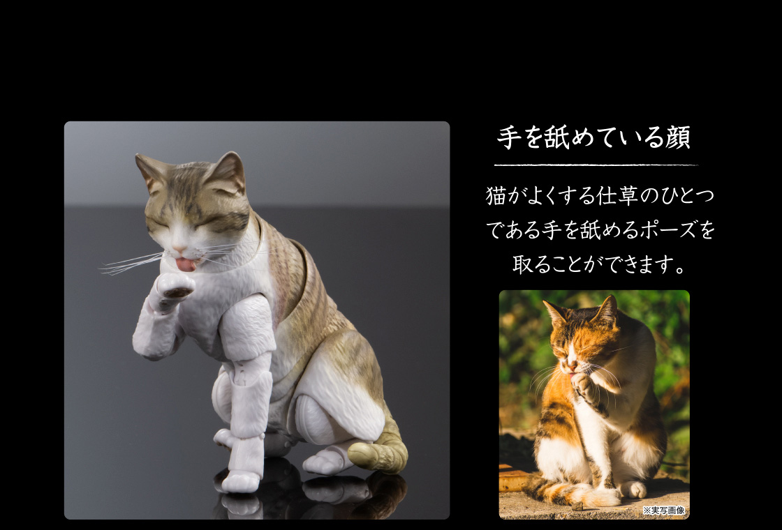 手を舐めている顔