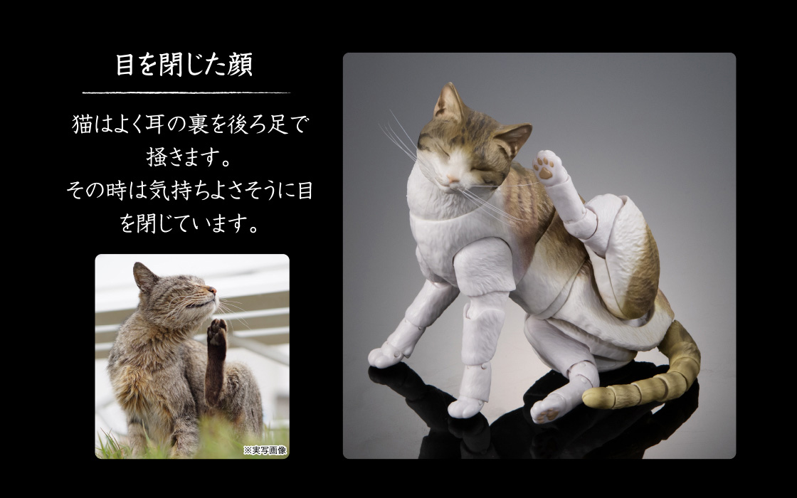 目を閉じた顔