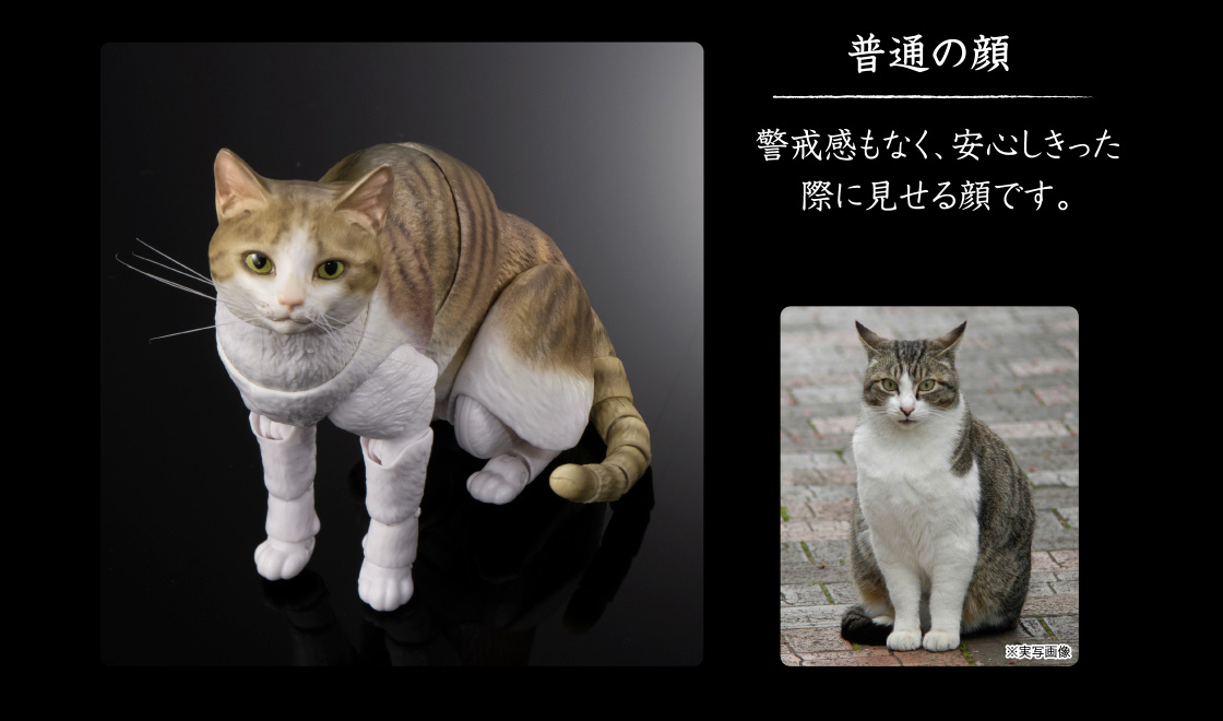 普通の顔