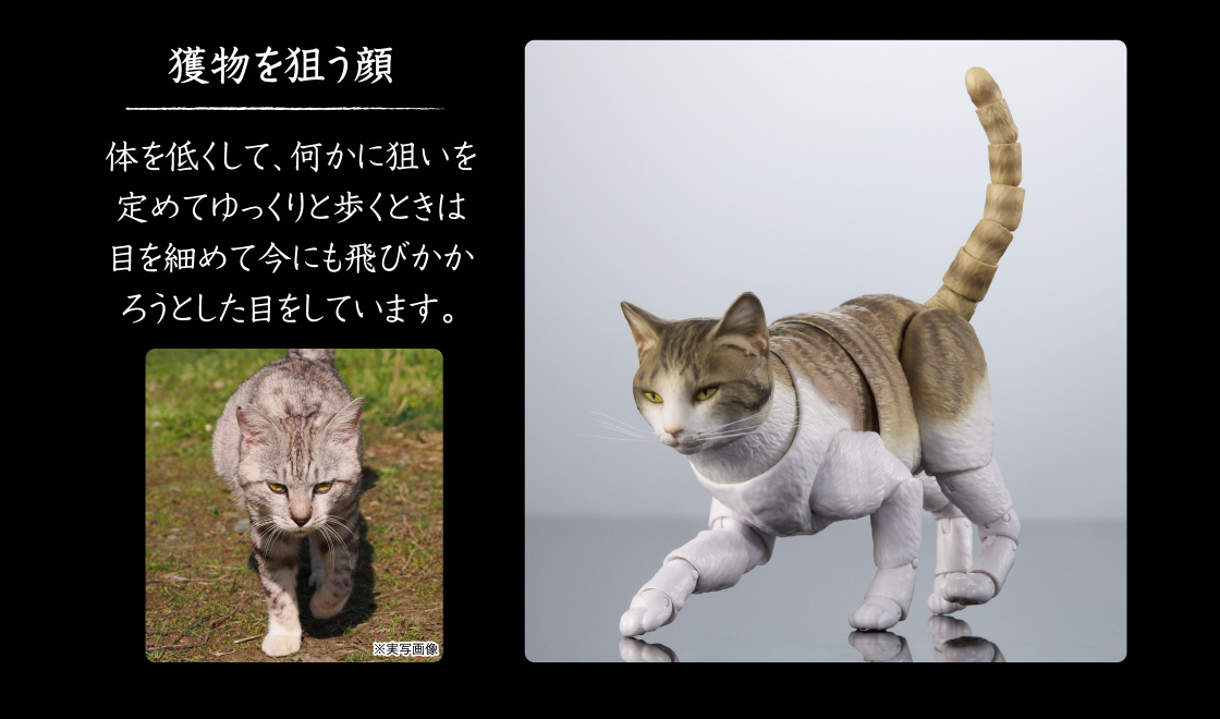 獲物を狙う顔