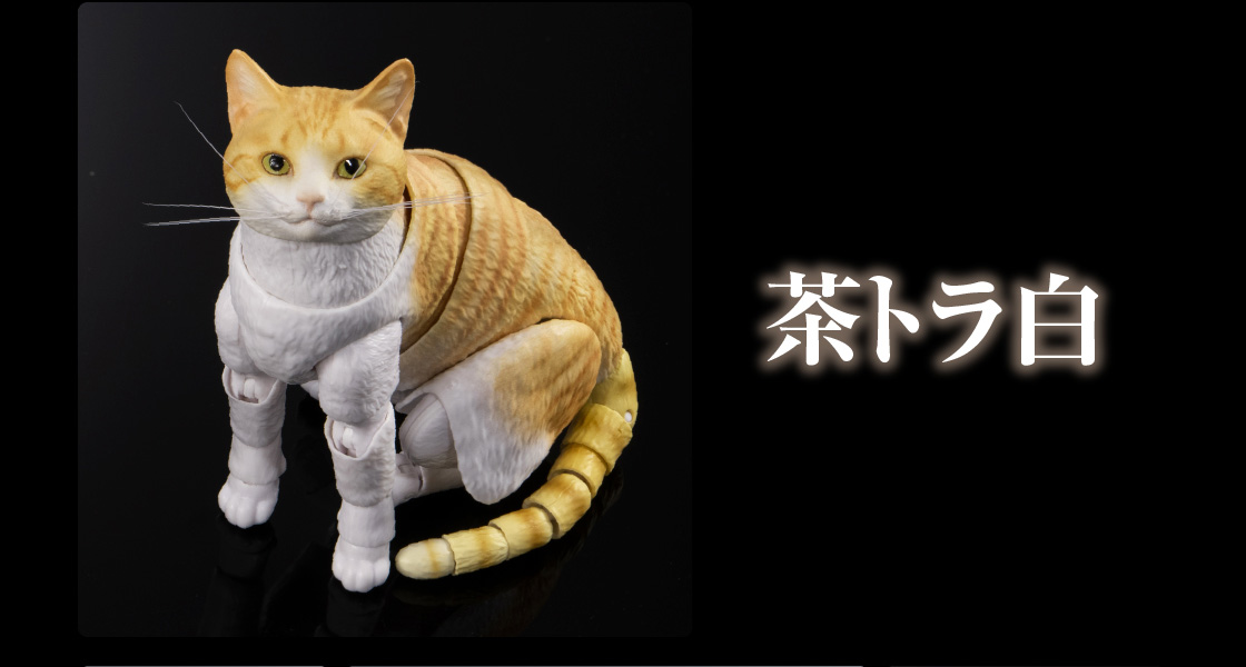 茶トラ白