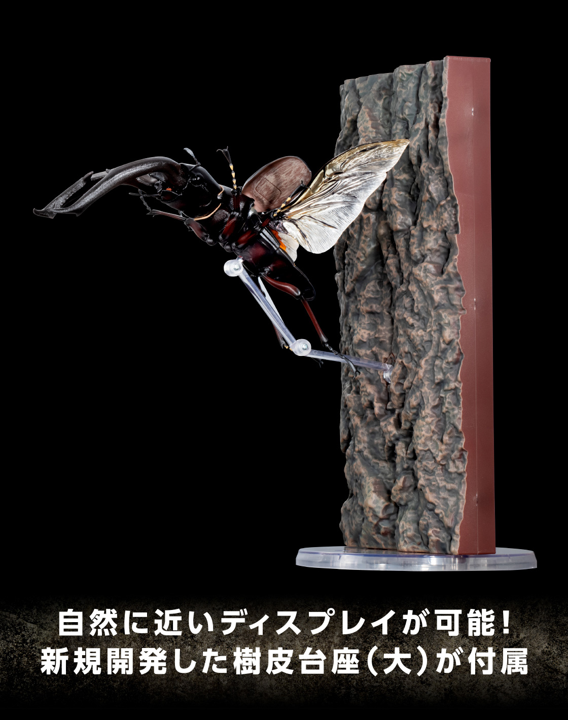 自然に近いディスプレイが可能！新規開発した樹皮台座(大)が付属