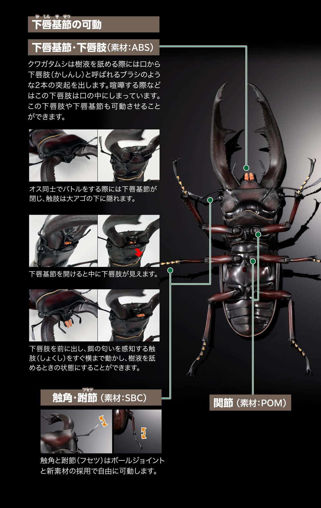 下唇基節の可動 下唇基節・下唇股(素材：ABS) 触角・跗節(素材：SBC) 関節(素材：POM)