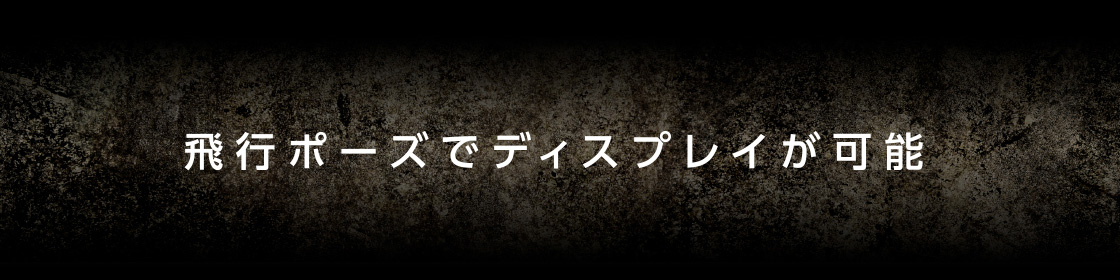 飛行ポーズでディスプレイが可能