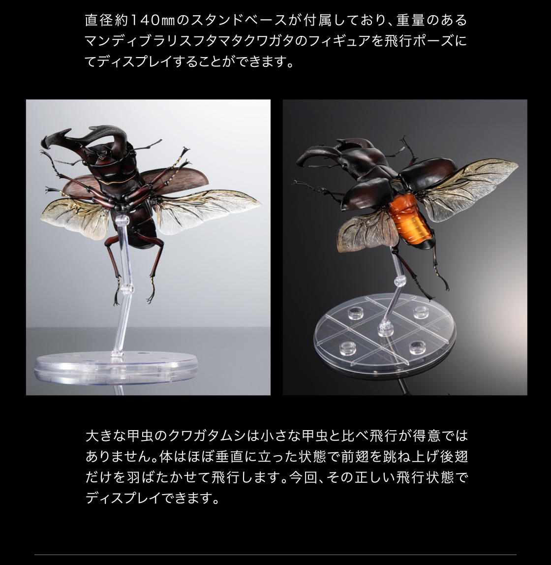 直径約140mmのスタンドベースが付属しており、重量のあるマンディブラリスフタマタクワガタのフィギュアを飛行ポーズにてディスプレイすることができます。