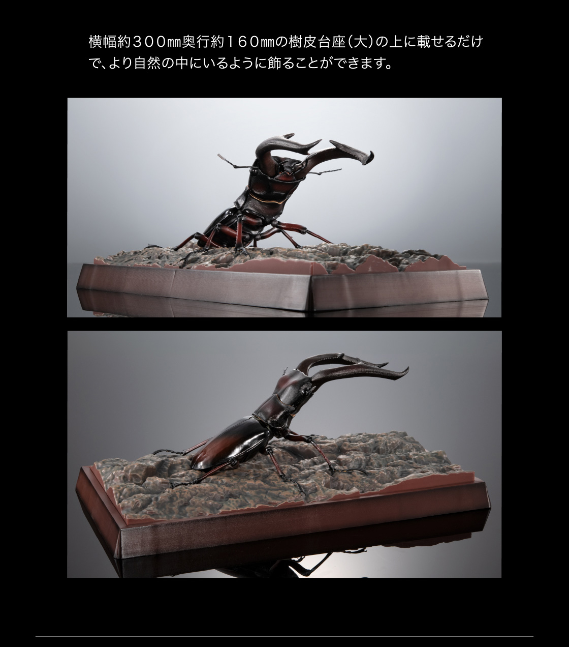 横幅約300mm奥行約160mmの樹皮台座(大)の上に載せるだけで、より自然の中にいるように飾ることができます。