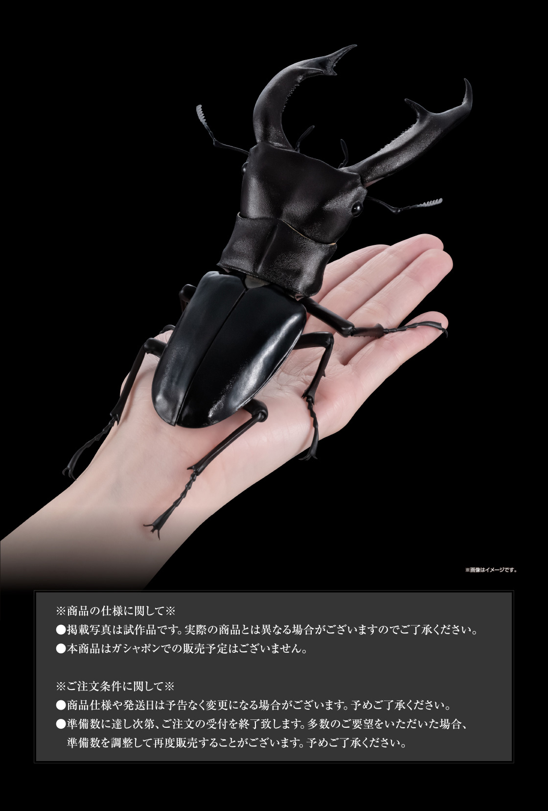 ※商品の仕様に関して※ ※ご注文条件に関して※