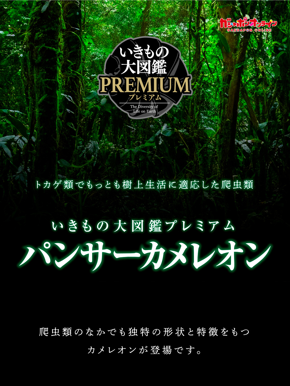 トカゲ類でもっとも樹上生活に適応した爬虫類 いきもの大図鑑プレミアム パンサーカメレオン