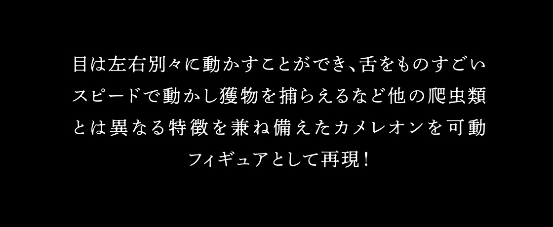 目は左右別々に動かすことができ、舌をものすごいスピードで動かし獲物を捕らえるなど他の爬虫類とは異なる特徴を兼ね備えたカメレオンを可動フィギュアとして再現！