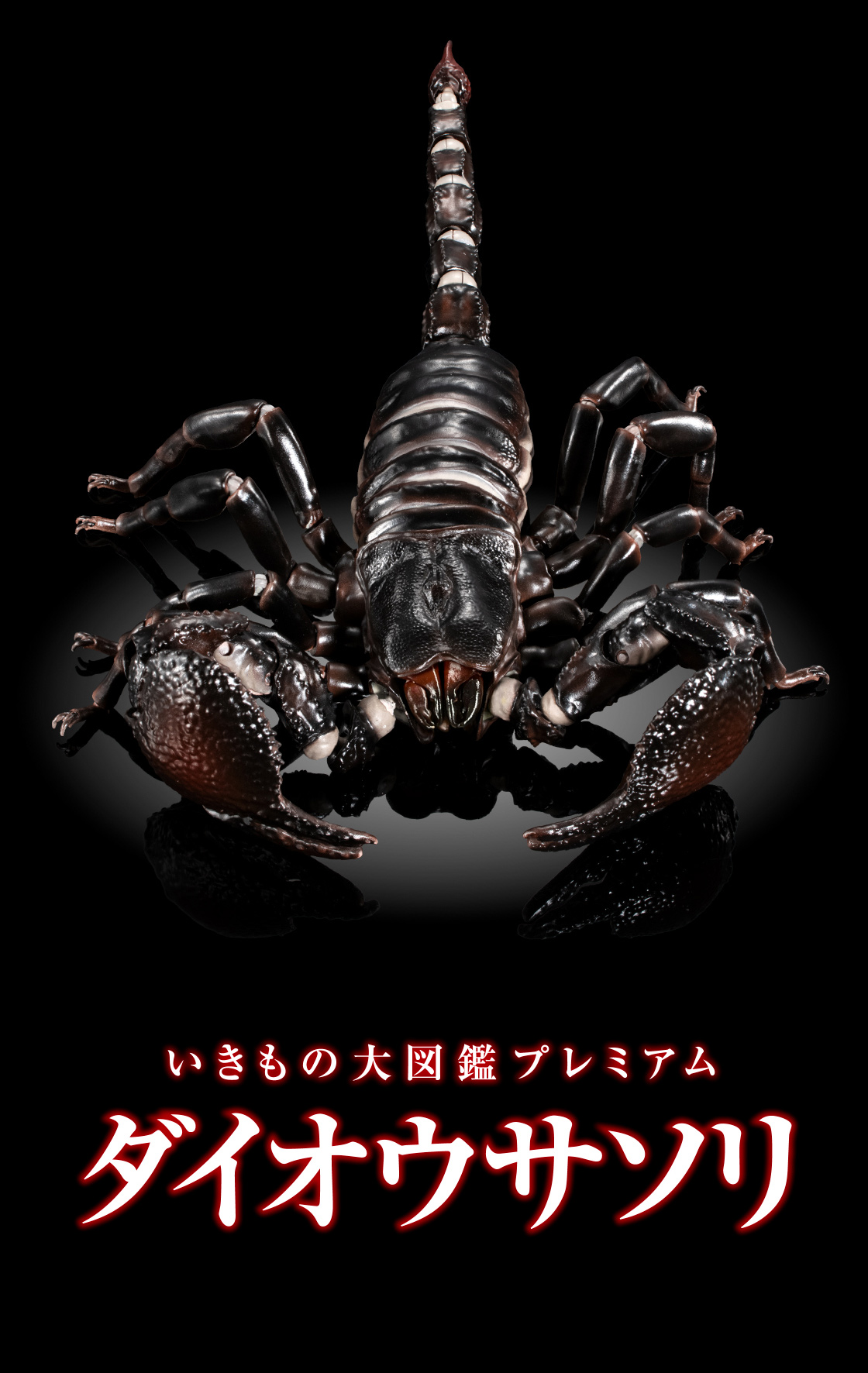 いきもの大図鑑プレミアム ダイオウサソリ