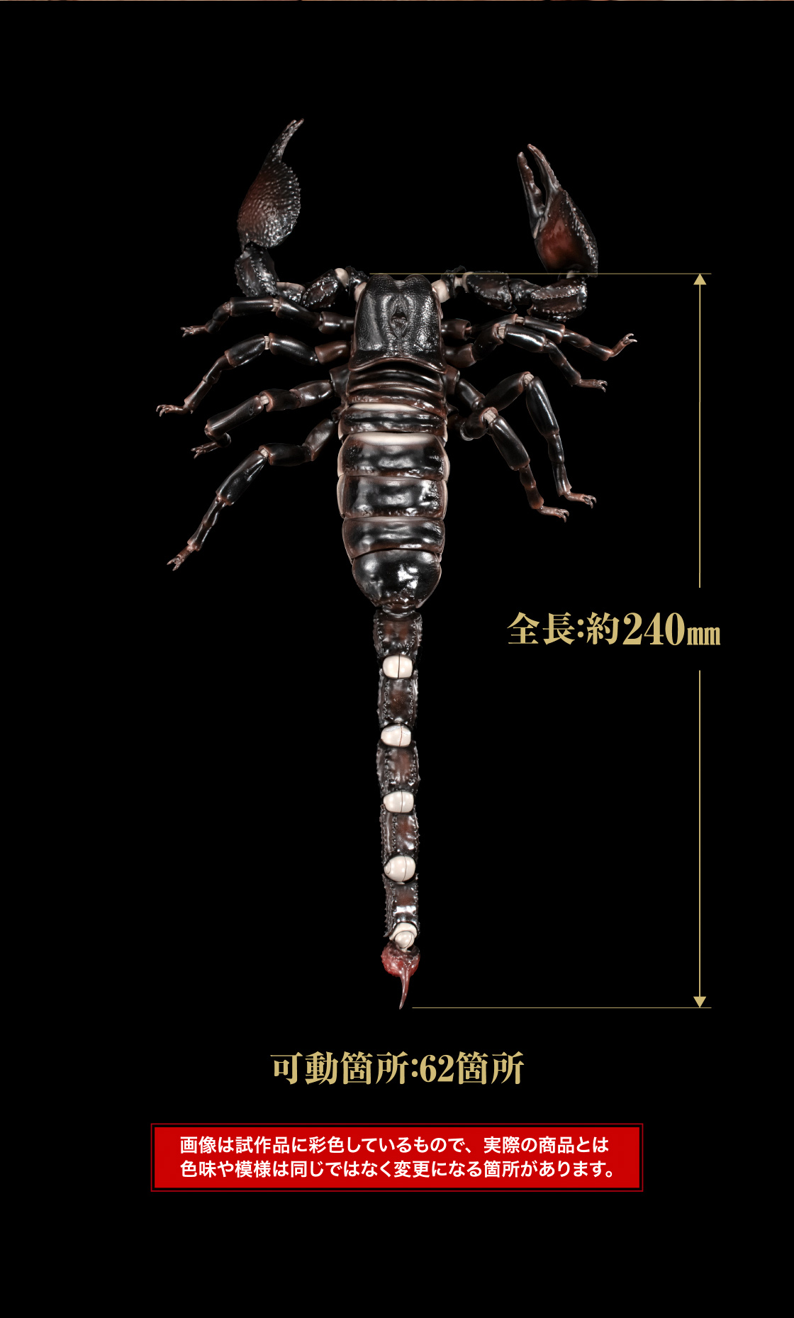 全長：約240mm　可動箇所：62箇所　画像は試作品に彩色しているもので、実際の商品とは色味や模様は同じではなく変更になる箇所があります。