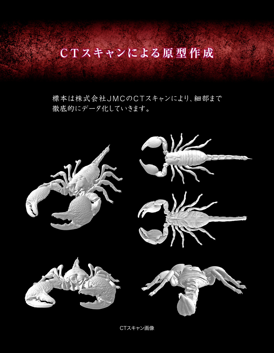 CTスキャンによる原型作成　標本は株式会社JMCのCTスキャンにより、細部まで徹底的にデータ化していきます。