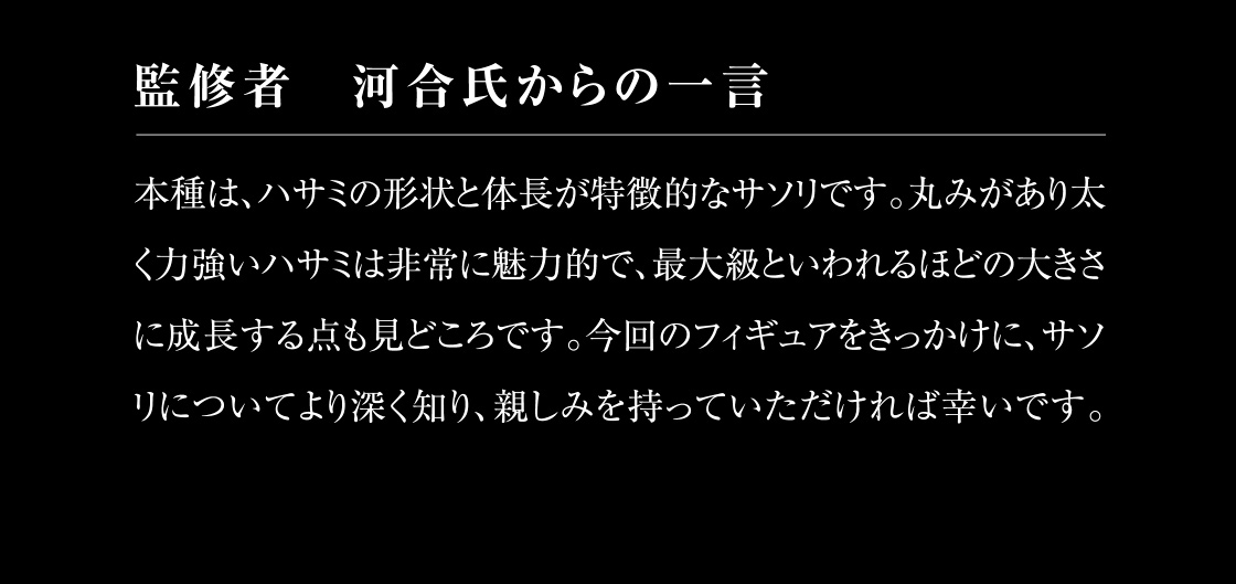 監修者 河合氏からの一言