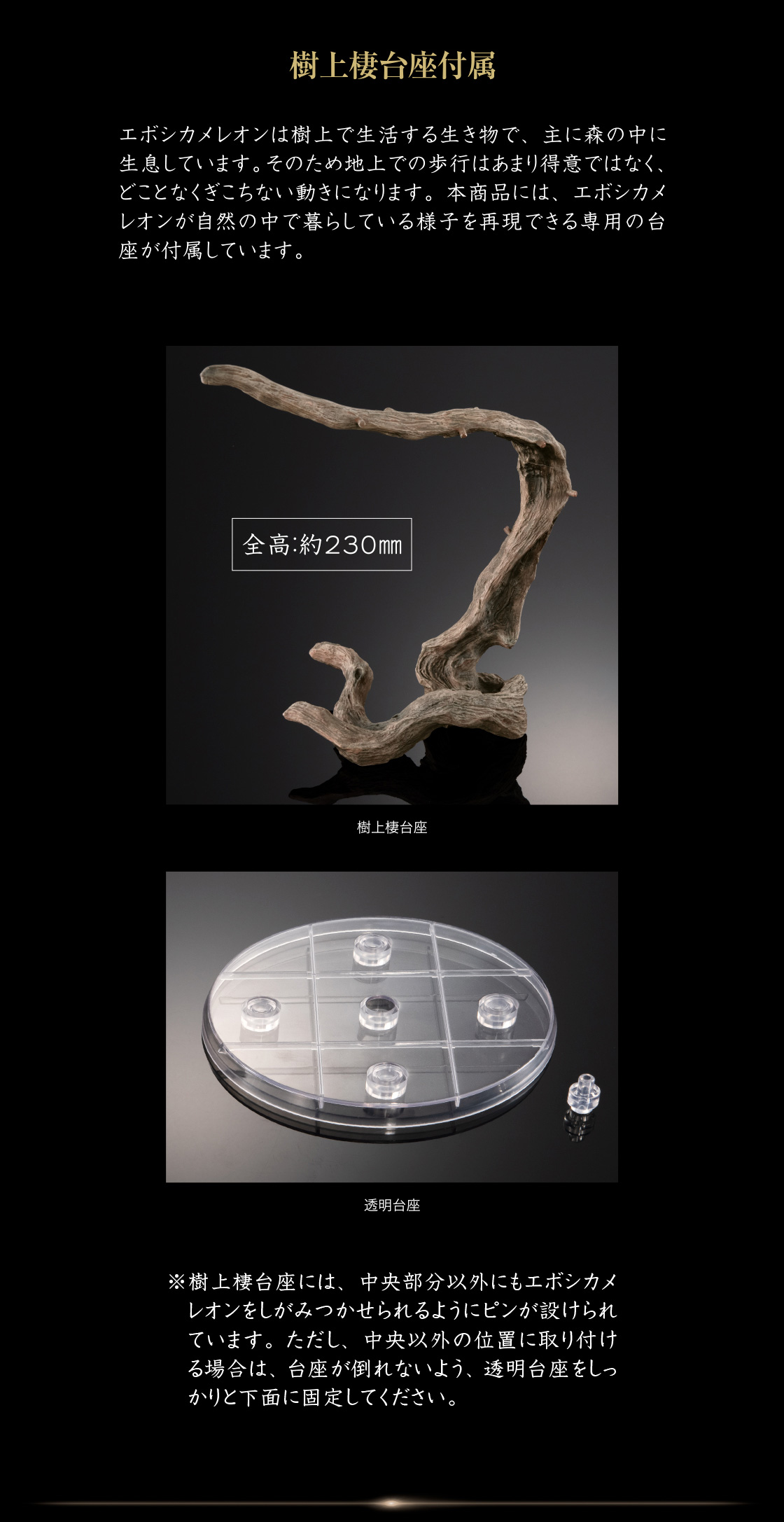 樹上棲台座付属