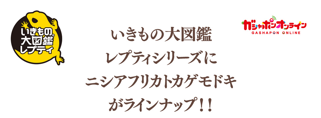 いきもの大図鑑レプティシリーズにニシアフリカトカゲモドキがラインナップ！！