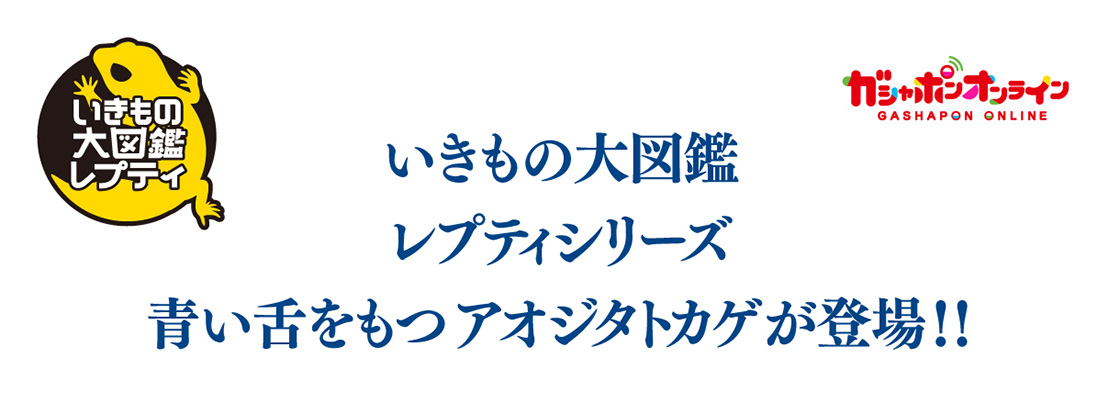 いきもの大図鑑レプティシリーズ 青い舌をもつアオジタトカゲが登場！！