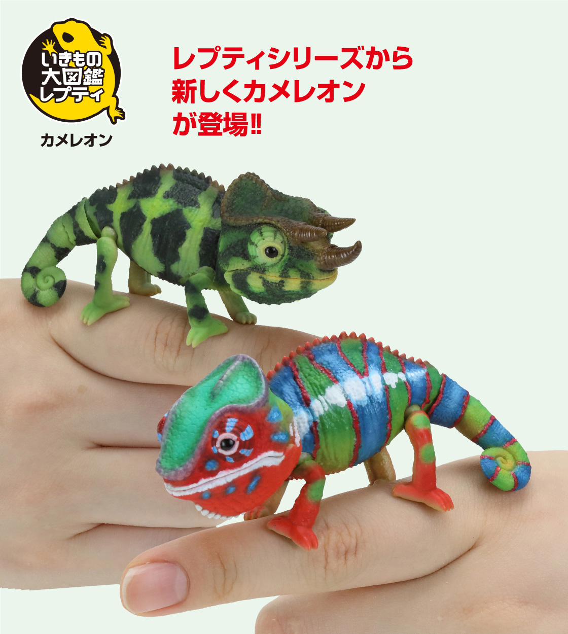レプティシリーズから新しくカメレオンが登場！！
