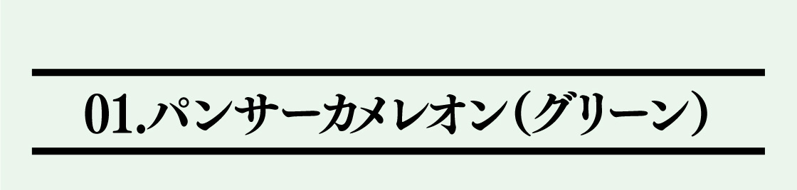 01.パンサーカメレオン(グリーン)