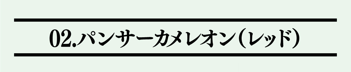 02.パンサーカメレオン(レッド)