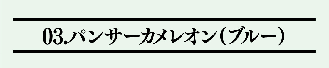 03.パンサーカメレオン(ブルー)