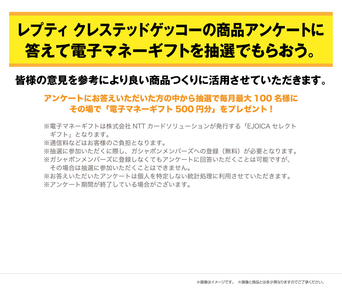 レプティ クレステッドゲッコーの商品アンケートに答えて電子マネーギフトを抽選でもらおう。