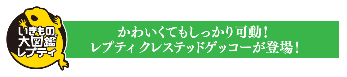 かわいくてもしっかり可動！レプティ クレステッドゲッコーが登場！