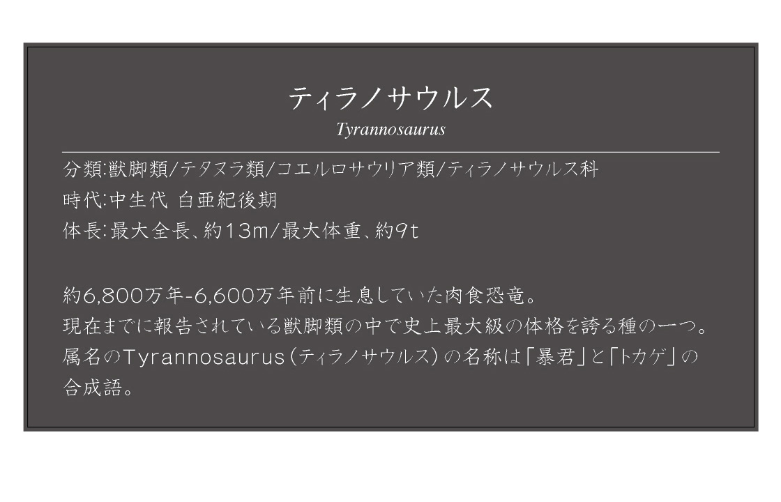 ティラノサウルス Tyrannosaurus